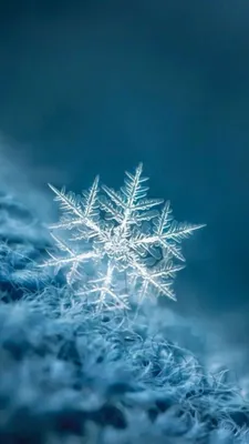 Интересные | картинки зима новый год на телефон