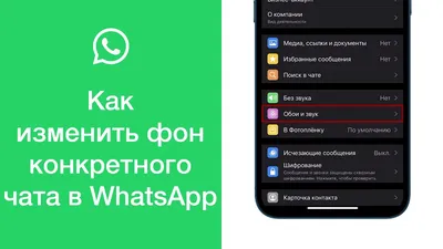 Как изменить фон чата в приложении WhatsApp для Android | Инструкции  Android | Дзен