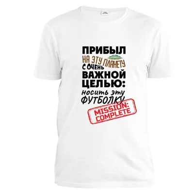 Купить футболку MOE Базовая Реглан Черная в Москве недорого в  интернет-магазине LCLS.ru