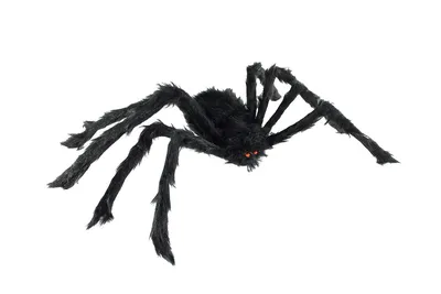 Мохнатый паук на Хэллоуин