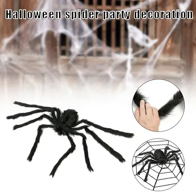 Раскраска паук на хэллоуин - 63 фото