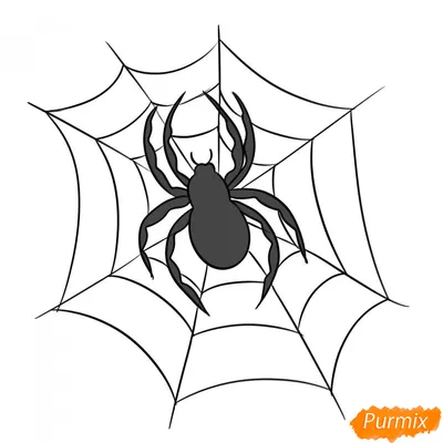 1 пара преувеличенных ушей-гвоздиков на Хэллоуин, паук, насекомое,  жемчужные украшения, прочные серьги-пауки для женщин – лучшие товары в  онлайн-магазине Джум Гик