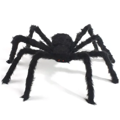 Паук мохнатый гигант /декорация на хэллоуин/украшения на хэллоуин/паук на  хэллоуин/паук черный - купить по доступным ценам в интернет-магазине OZON  (347564793)