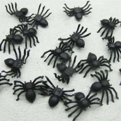 Раскраска паук на хэллоуин - 63 фото