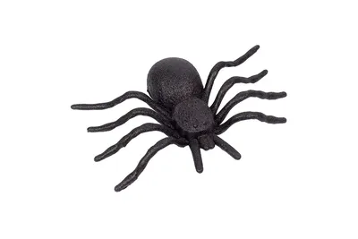 Паук пластиковый Хэллоуин, черный 973684 Yes! Fun купить - отзывы, цена,  бонусы в магазине товаров для творчества и игрушек МаМаЗин