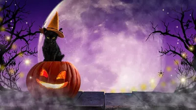 Хэллоуин: что нужно и нельзя делать ночью 31 октября | «Красный Север»