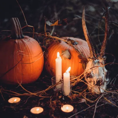Хэллоуин: что нужно и нельзя делать ночью 31 октября | «Красный Север»