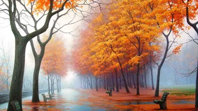 Обои осень, деревья, ветки, озеро, дом, Япония картинки на рабочий стол,  раздел природа - скачать | Озеро, Обои, Природа