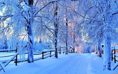 Обои зима, дорога, снег, деревья, зимний пейзаж картинки на рабочий стол,  фото скачать бесплатно