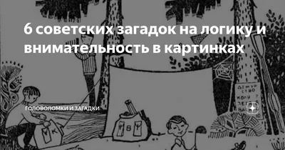 Задача на логику и внимательность | Программирование и дизайн для  школьников | Третье место | Дзен