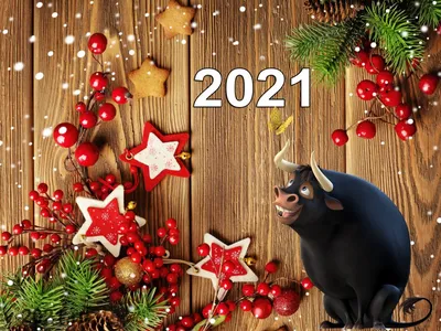 ТОП-40 подарков на Новый год 2021