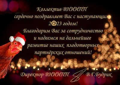 Набор мини открыток в подарок на Новый год с пожеланиями - купить с  доставкой в интернет-магазине OZON (1247396611)