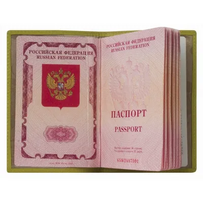 Обложка для паспорта Альянс 0-265 FM лд зел.виноград - купить, фото,  описание, недорого