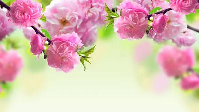 1 042 966 рез. по запросу «Обложка весна» — изображения, стоковые  фотографии, трехмерные объекты и векторная графика | Shutterstock