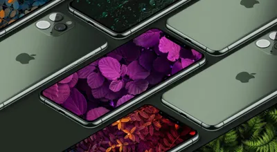 Где скачать официальные обои iPhone 11 и 11 Pro? — Wylsacom