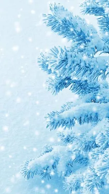 Обои дерево, зима, снег, природа, замораживание на телефон Android,  1080x1920 картинки и фото бесплатно
