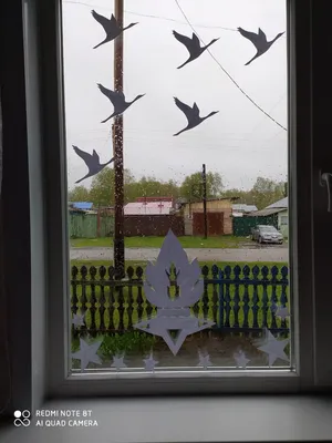 Жители Ставропольского края начали украшать окна к 9 Мая | Своё ТВ