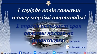 Департамент государственных доходов по Восточно-Казахстанской области