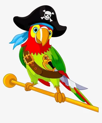 пиратский попугай PNG , пират, попугай, раскрашенный вручную мультфильм PNG  картинки и пнг PSD рисунок для бесплатной загрузки | Пираты, Пиратские  шляпы, Пиратская тема