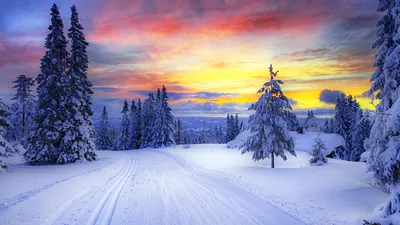 Скачать 1366x768 норвегия, зима, лес, снег, деревья обои, картинки планшет,  ноутбук