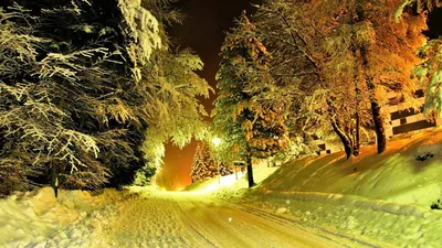 Деревья у заснеженной зимней дороги Обои для рабочего стола 1366x768