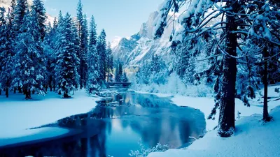 Картинка на рабочий стол природа, лес, зима, снег, река 1366 x 768