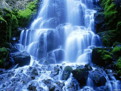 Фото 13. : природа - водопад для рабочего стола 1600x1200