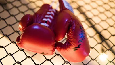 Женщина занимается боксом в перчатках - обои на рабочий стол