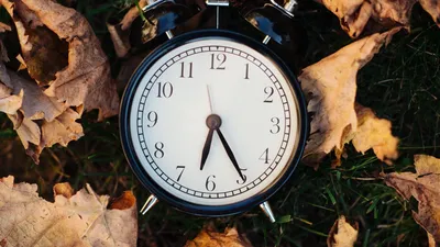 Обои часы, будильник, время, листья, осень, эстетика картинки на рабочий  стол, фото скачать бесплатно