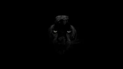 Черная пантера обои - 67 фото