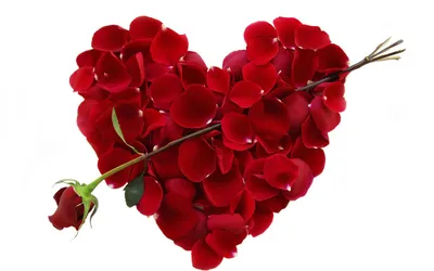 Обои праздник День всех влюбленных День святого Валентина на рабочий стол  любовные валентинки картинки фото обои 1920x1200 скачать обои высокого  качества
