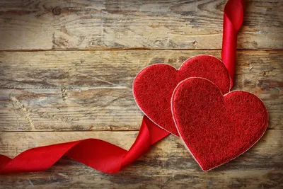 Обои лепесток, цветок, сердце, любовь, День Святого Валентина - картинка на рабочий  стол и фото бесплатно