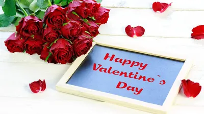 Роса на розе в День Святого Валентина - обои для рабочего стола, картинки,  фото