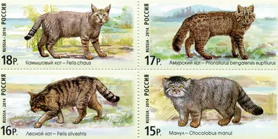Обои для рабочего стола Большие кошки Почтовая марка Fauna 1920x960