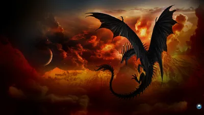 Дракон | Волшебные создания, Маленький дракон, Дракон