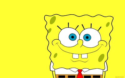 The SpongeBob Movie Sponge on the Run 2020 Wallpapers | HD Wallpapers | ID  #30710