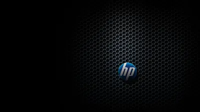 Обои на рабочий стол Логотип HP на черном фоне с сотами, обои для рабочего  стола, скачать обои, обои бесплатно