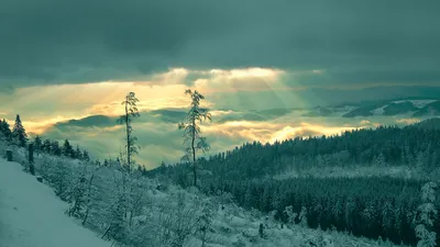 Обои Только зима, картинки - Обои для рабочего стола Только зима фото из  альбома: (природа)