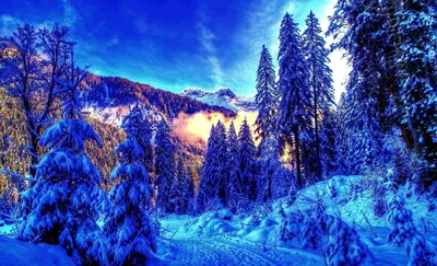 Обои на монитор | Зима | зима, горы, лес, утро, красиво