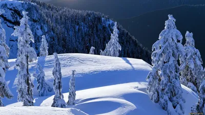 снежная горная панорама-ОБОИ- на рабочий стол-Зима бесплатно