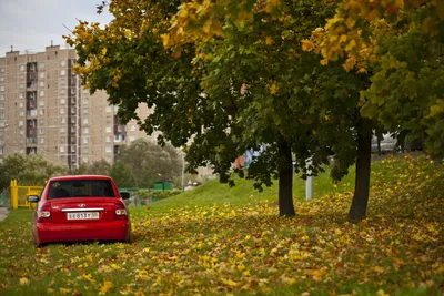 Обзоры б/у авто Лада Приора (Lada Priora) с пробегом. Lada Priora (2007-):  Смотри в оба!