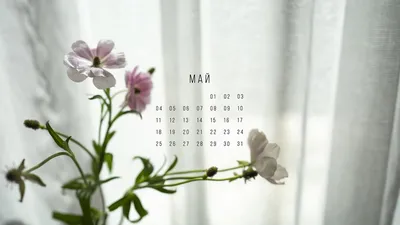 Обои + календарь: май