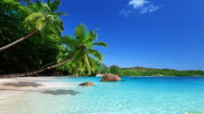 Обои море, пляж, остров, бунгало, тропики для рабочего стола #63913