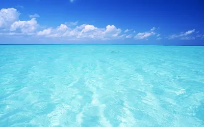 Обои Мальдивы, море, океан, тропическая зона, побережье - картинка на рабочий  стол и фото бесплатно
