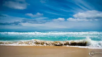 Голубой океан белоснежный пляж - обои на рабочий стол