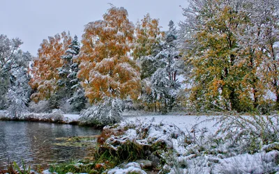 Поздняя осень начало зимы (55 фото) - 55 фото