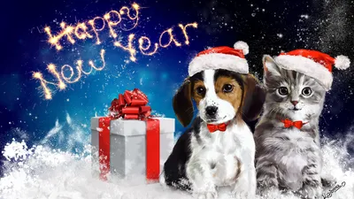 Скачать обои Праздники Avril Haynes, Новый год, зима, снег, собаки на рабочий  стол 1280x1024