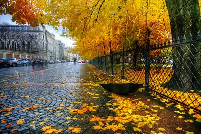 Обои на рабочий стол Осень, Екатерининский сад, Санкт-Петербург, Россия,  фотограф Гордеев Эдуард, обои для рабочего стола, скачать обои, обои  бесплатно