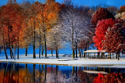 Обои на монитор | Зима | поздняя осень, парк, пруд, деревья, снег