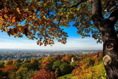 Осень в Европе - красивые фото